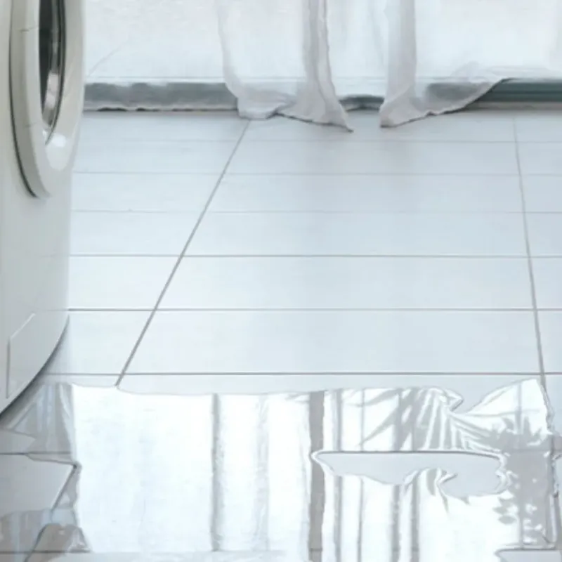 Appliance Leak Cleanup in Clear Lake, WI