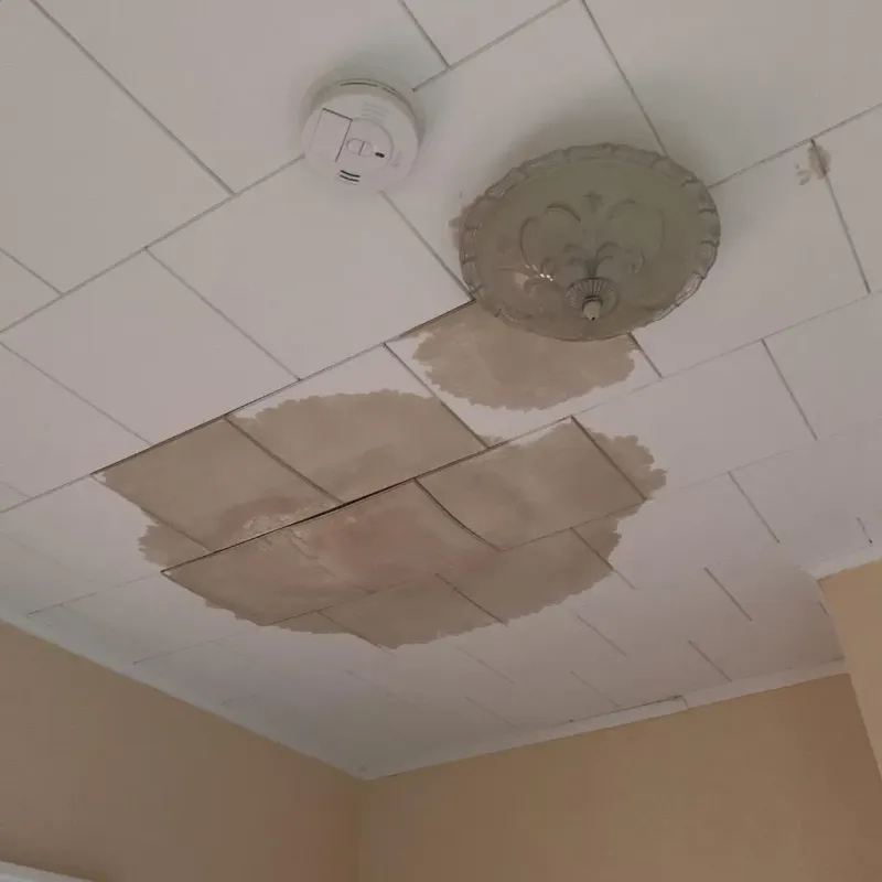 Ceiling Water Damage Repair in Clear Lake, WI