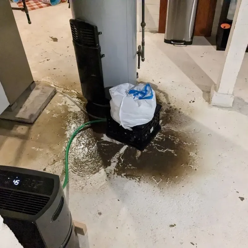 Sewage Backup Cleanup Service in Clear Lake, WI